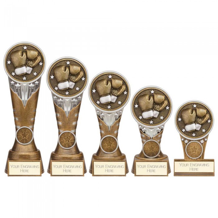 IKON BOXING RESIN TROPHY WITH OPTIONAL CUSTOM CENTRE - 5 SIZES - 12.5CM - 22.5CM